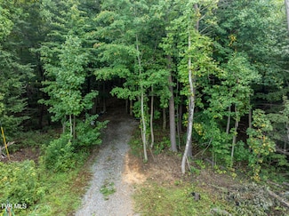 143 Cedar St, Johnson City, TN 37601