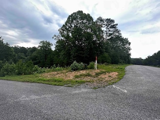 Lot 49 Cobalt Bay Dr, Shirley, AR 72153