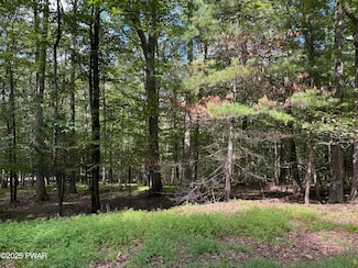 0 Cedar Ridge Rd, Hawley, PA 18428