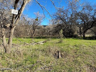 0 S Tonto Creek Dr Unit 391, Payson, AZ 85541