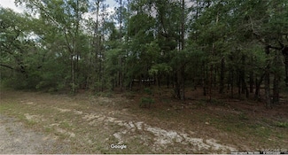 194 E Falcon Ln, Citrus Springs, FL 34434