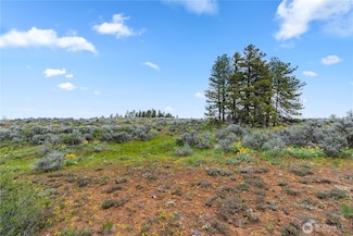 207 Falcon Ridge Rd, East Wenatchee, WA 98802