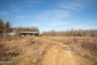 00 E Hwy 49e, Sidon, MS 38954