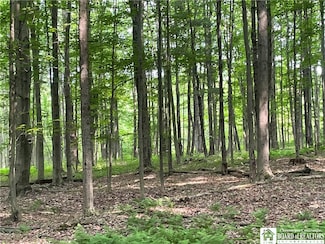 1479 Orr St Extension, Jamestown, NY 14701