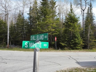 0 S White Rd, Clark Township, MI 49719