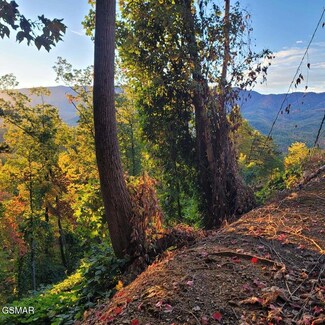 0 Scenic Trail Unit 303464, Gatlinburg, TN 37738