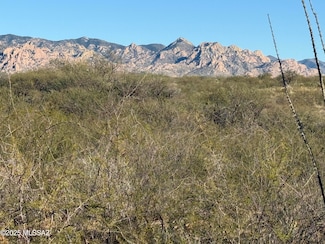 Lot 105 E Cottontail Trail, St. David, AZ 85630
