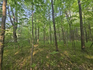 V/L Mannsiding Rd, Harrison, MI 48625