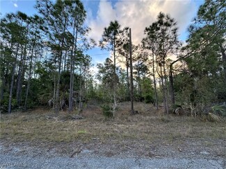 302 Spokane Ave, Lehigh Acres, FL 33972