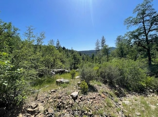 0 Montgomery Creek Falls Rd Unit 225055600, Montgomery Creek, CA 96065
