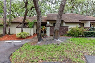 4024 Diamond Leaf Ct, Palm Harbor, FL 34684