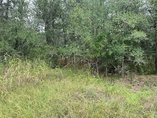 109 Halawa Ct, Bastrop, TX 78602