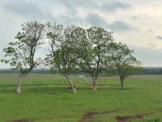 131+/-ac Stine Rd, Bellevue, TX 78582