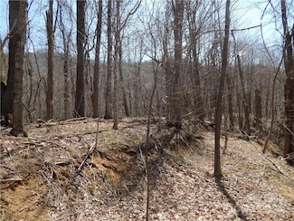 00 Gentry Farm Rd, Spring Creek, NC 28743