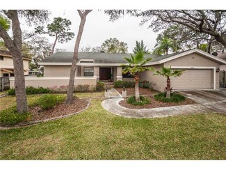 2808 Longleaf Ln, Palm Harbor, FL 34684