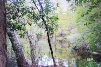 0 Juniper Rd Unit 36, Seminole, AL 36574