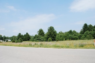 TBD Us 131 Unit @ M-32, South parcel, Elmira, MI 49730