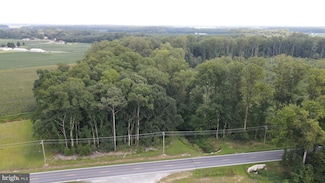 18.271 ac., Tract 5 Shortly Rd, Georgetown, DE 19947