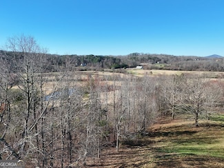 Lot 194 Old Owen Glen Dr, Blairsville, GA 30512