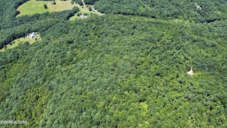 0 Buffalo Rd Unit 1310923, Oneida, TN 37841