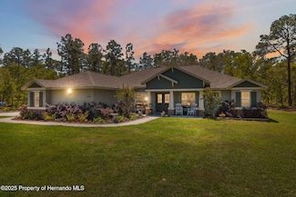 11730 Hawks Nest Trail, Weeki Wachee, FL 34614