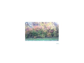 11704 Van Dyke Ave, Curtice, OH 43412