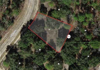 1419 W Belen Dr, Citrus Springs, FL 34434