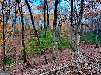 296 Valley View Rd, Ellijay, GA 30536