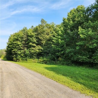0 Louis Ridge Rd Unit S1492610, Schuyler, NY 13340