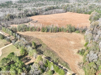 0002 Pisgah Bottom Rd, Canton, MS 39046