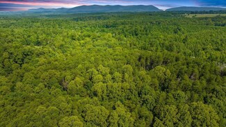 Tract 7 Fryingpan Creek Estates Wade Rd, Pittsville, VA 24139