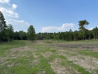 0 Roy Foster Rd Unit RTC2900649, McMinnville, TN 37110