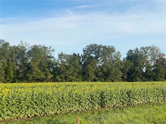 0 Paul Cleverdon Rd, Summerdale, AL 36580