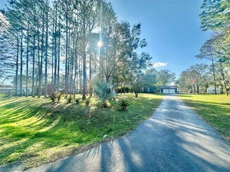 18840 Rustic Woods Trail, Odessa, FL 33556