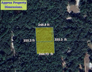 0 NE 192 Place, Citra, FL 32113