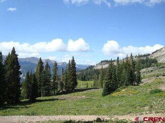TBD Forest Service Road 826 D1, Crested Butte, CO 81224
