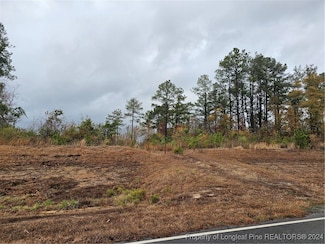 1540 Buster Vee Ln, Fayetteville, NC 28314