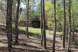 57 Sleepy Forest Dr, Leicester, NC 28748