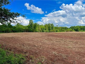 0 Royster Rd, Townville, SC 29689