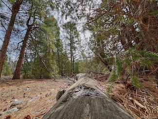 54 & 56 Big Bear Rd, Mosca, CO 81146