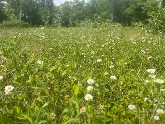 Lot 1 State Highway 112, Cassville, MO 65625