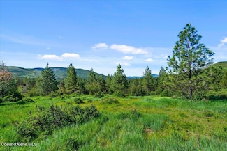 1233 Sunflower Dr, St. Maries, ID 83861