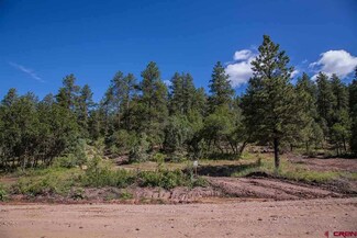 0 Red Canyon Trail Unit 738861, Durango, CO 81301