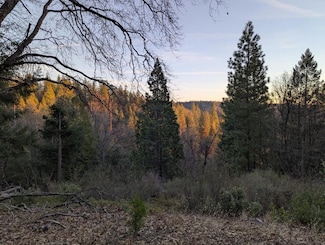 3000 Moody Ridge Rd, Gold Run, CA 95717