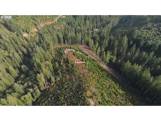 1051 Skamania Mines Rd, Washougal, WA 98671