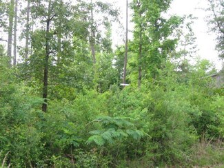 261 Hide a Way Ln, Carriere, MS 39426