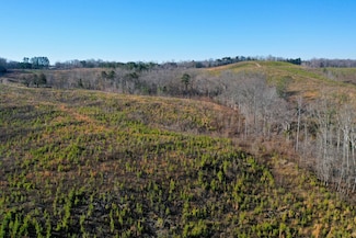 0 Corner Rd, Java, VA 24565