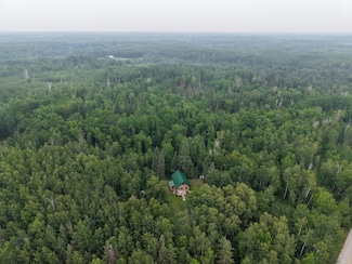TBD Tangnes Forest Rd, Southeast Roseau Unorg. Terr., MN 56673