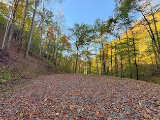 999 Mountainside Dr, Bryson City, NC 28713