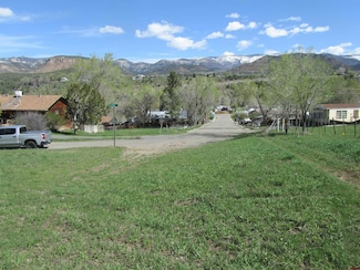 530 Glenarm Ave, Collbran, CO 81624